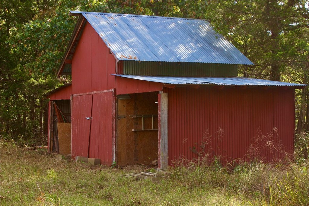 Picture 11
