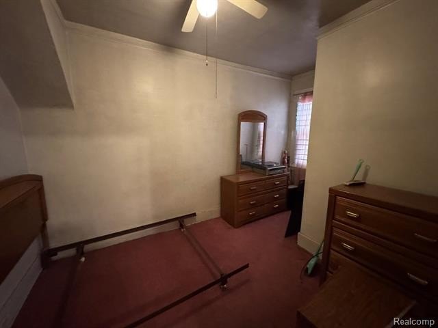Picture 8