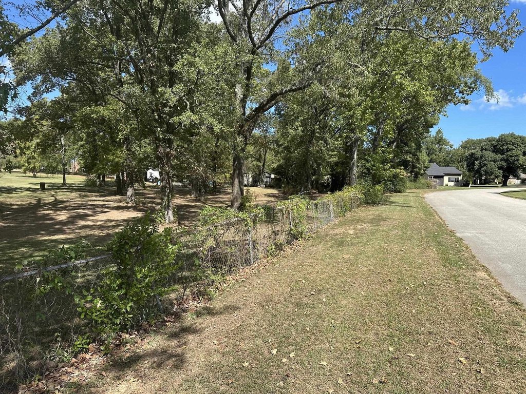 Picture 7