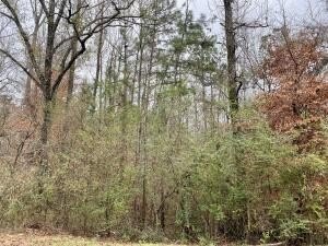 Residential Lot in Parrish Hills