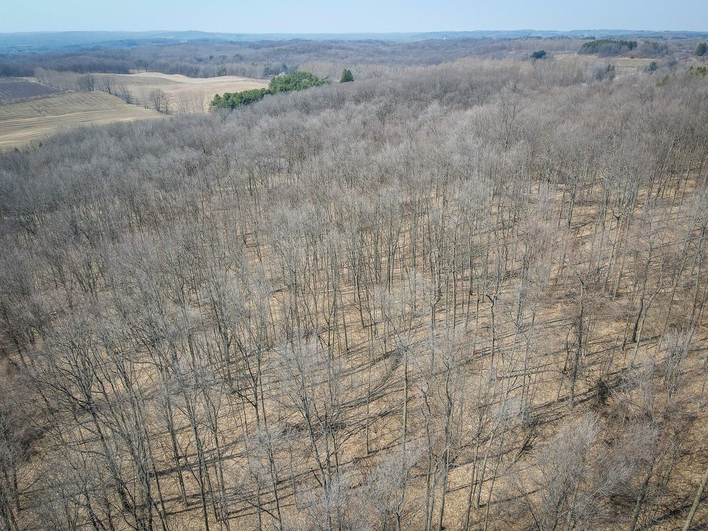 Picture 31