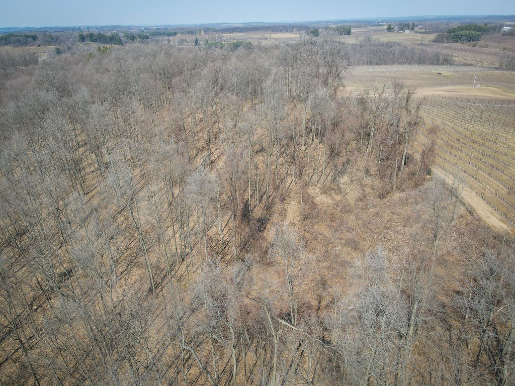 Picture 30