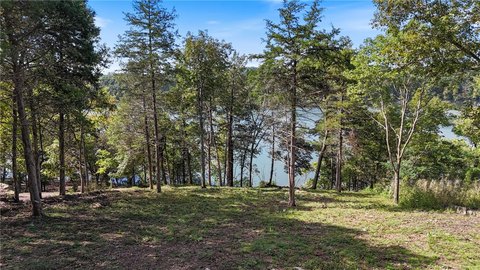 Holiday Island Lakefront Homesite