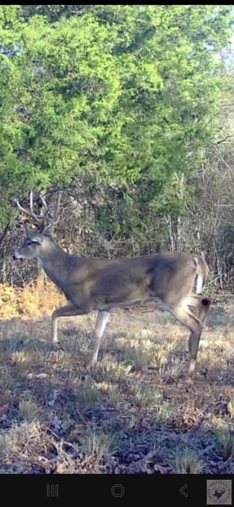 Recreational Land in Doddridge, AR