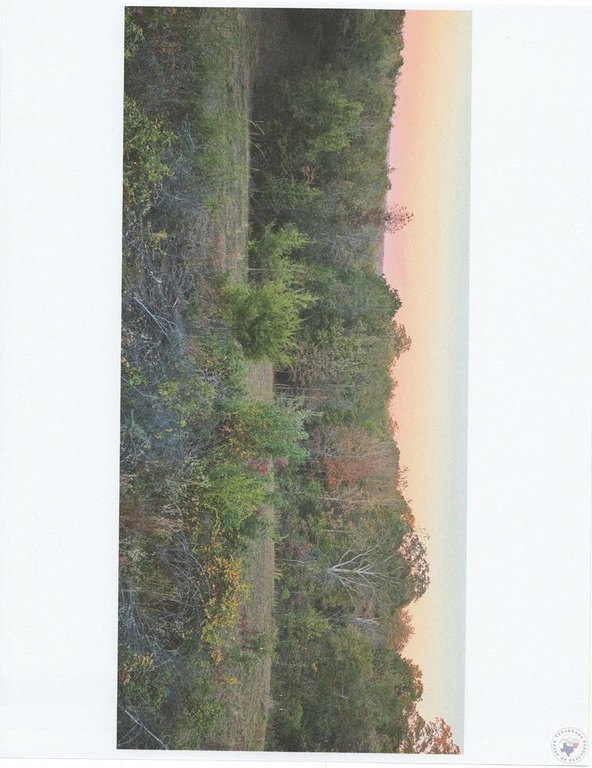 Picture 24