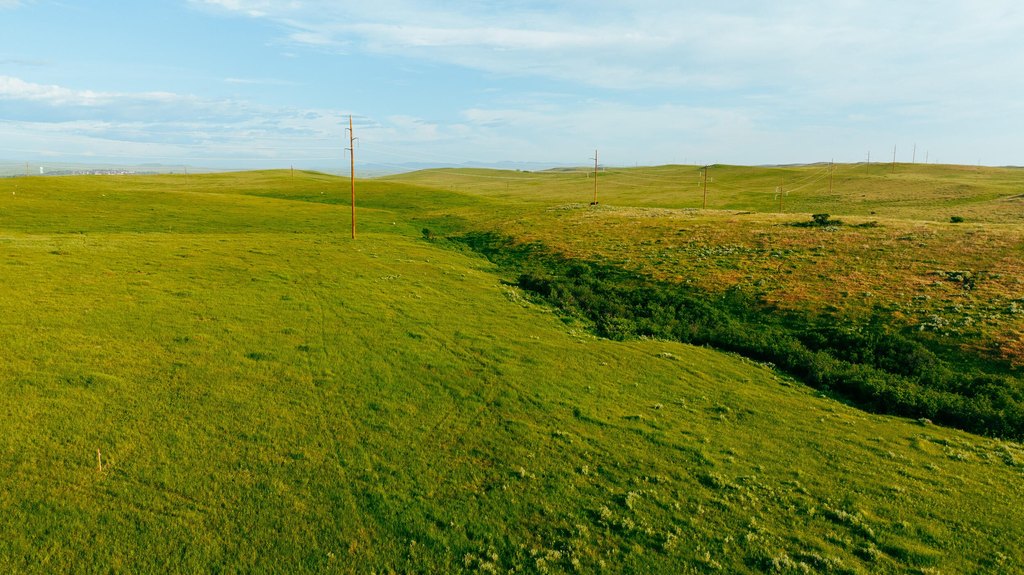 Picture 46