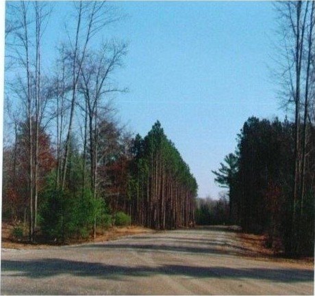 Picture 10