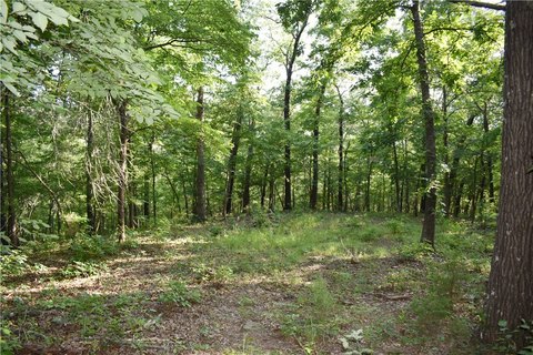 Recreational Hunting Land with OHV Trails