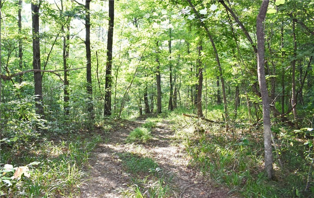 Picture 38