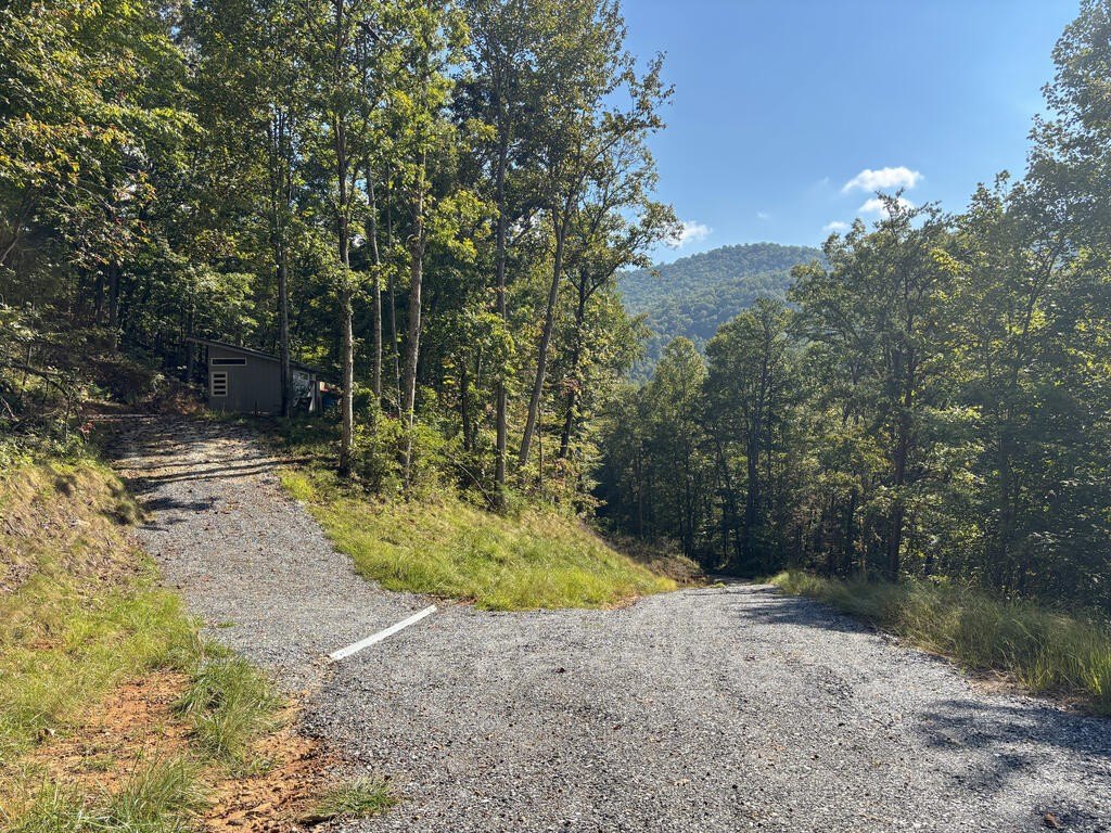 Picture 21