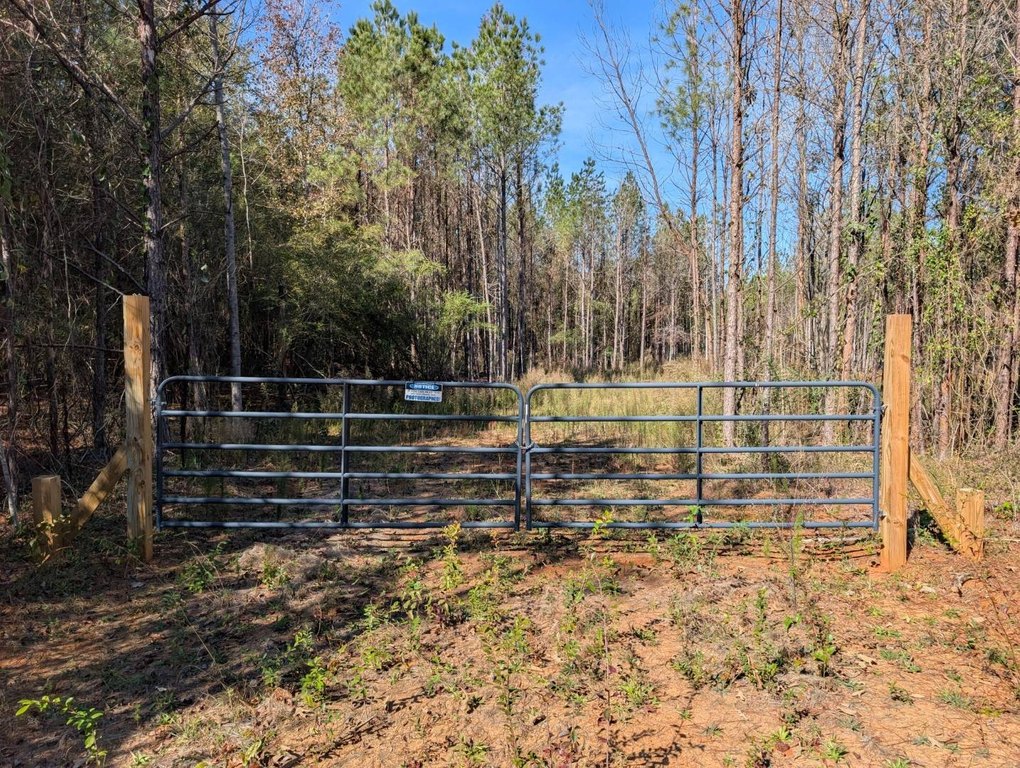 Picture 3