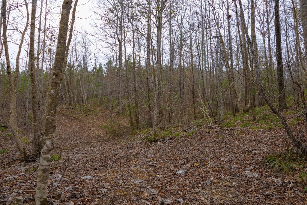 Picture 17