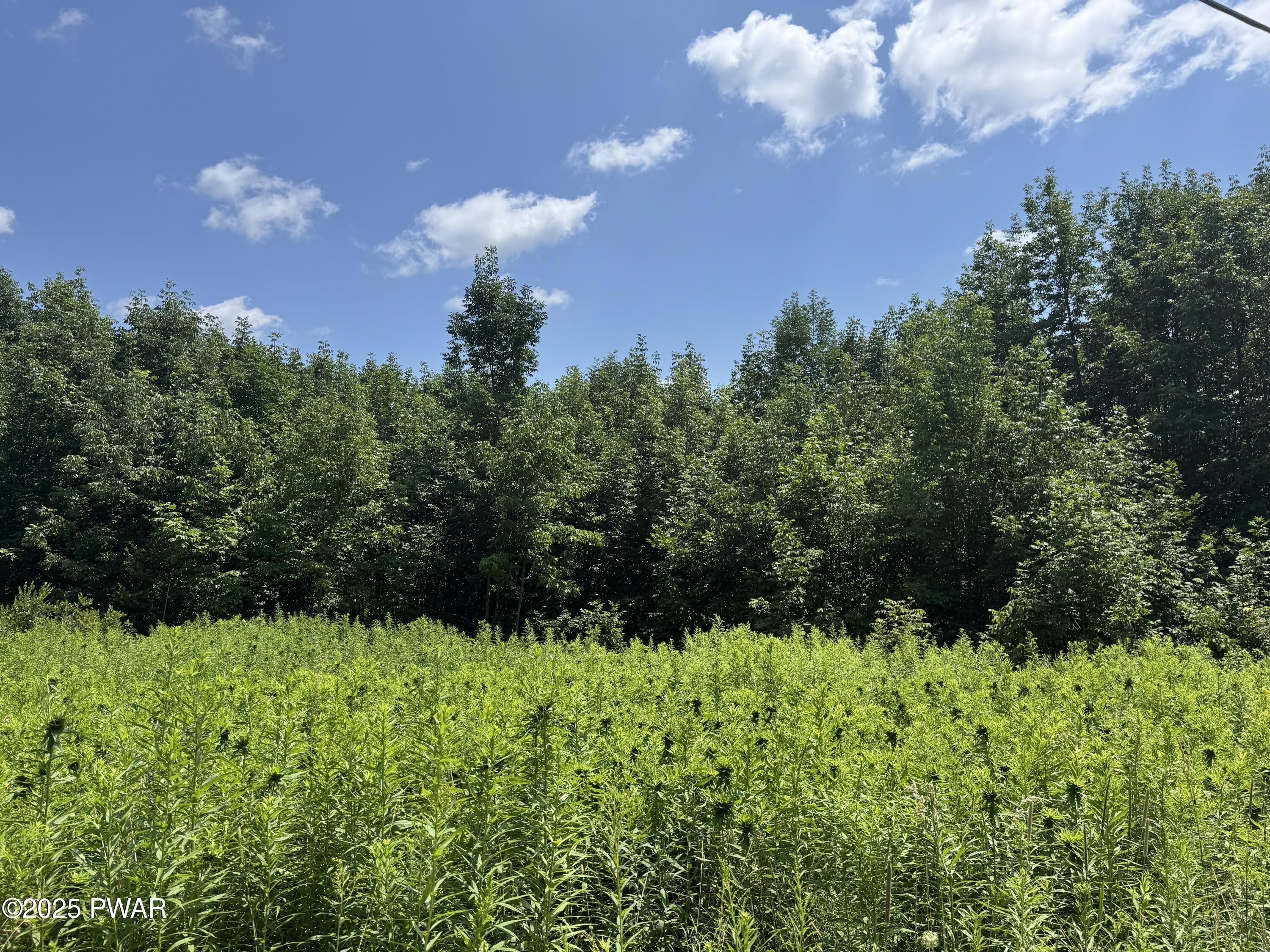 2+ Acre Building Lot