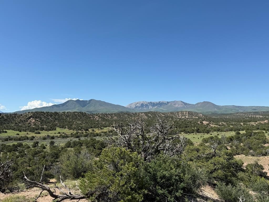 35 Acres Southern Colorado Land
