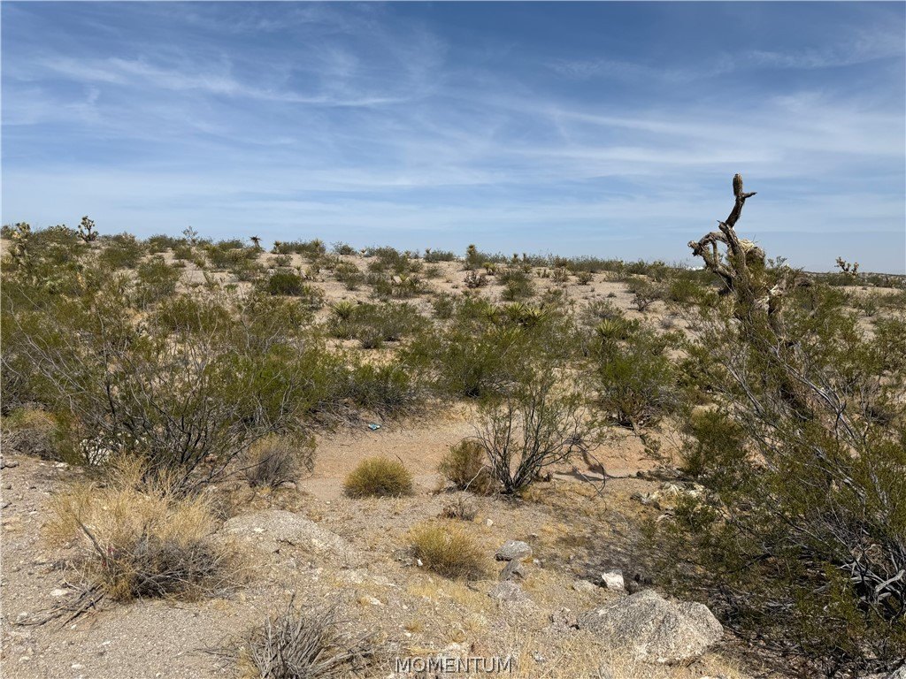 Picture 6