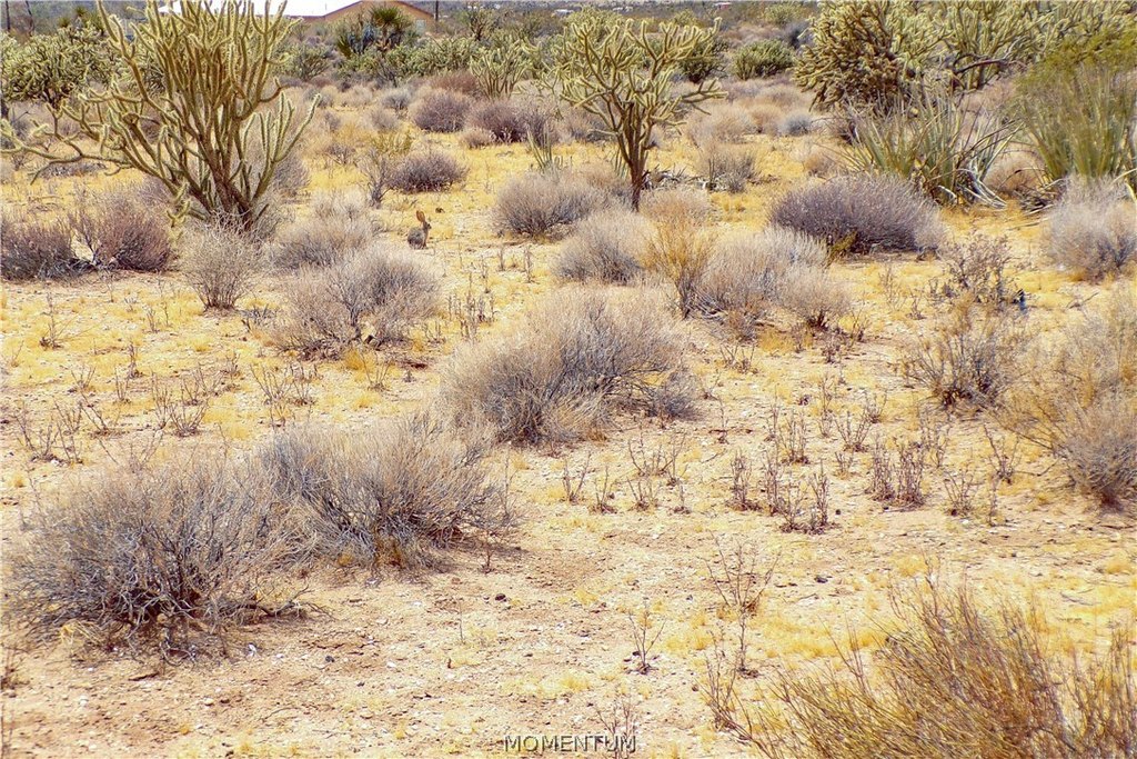 Picture 19