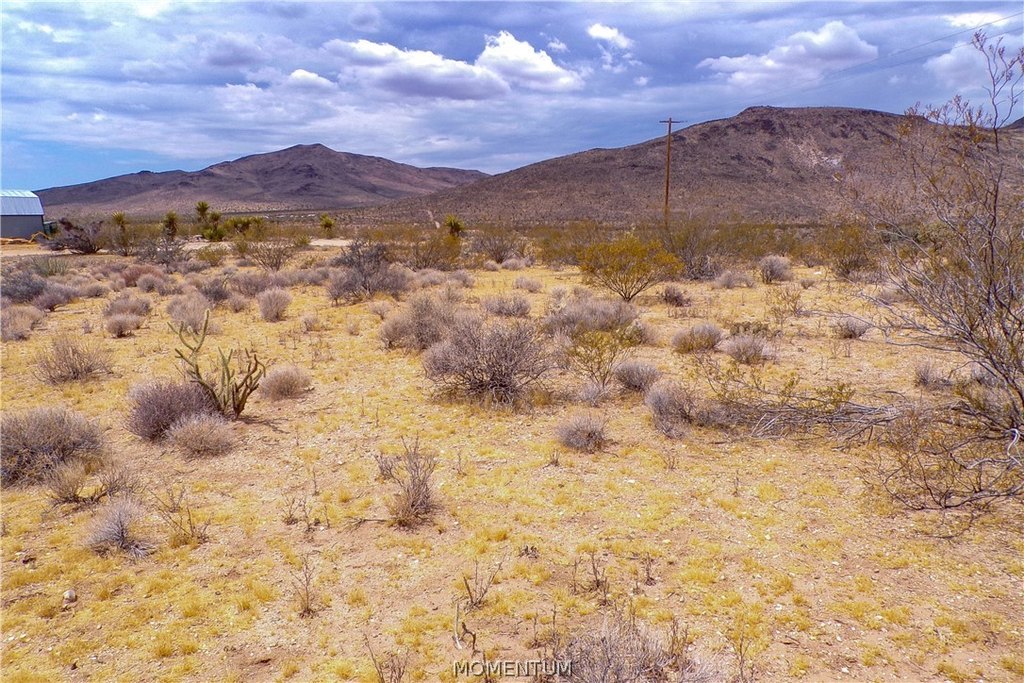 Picture 28