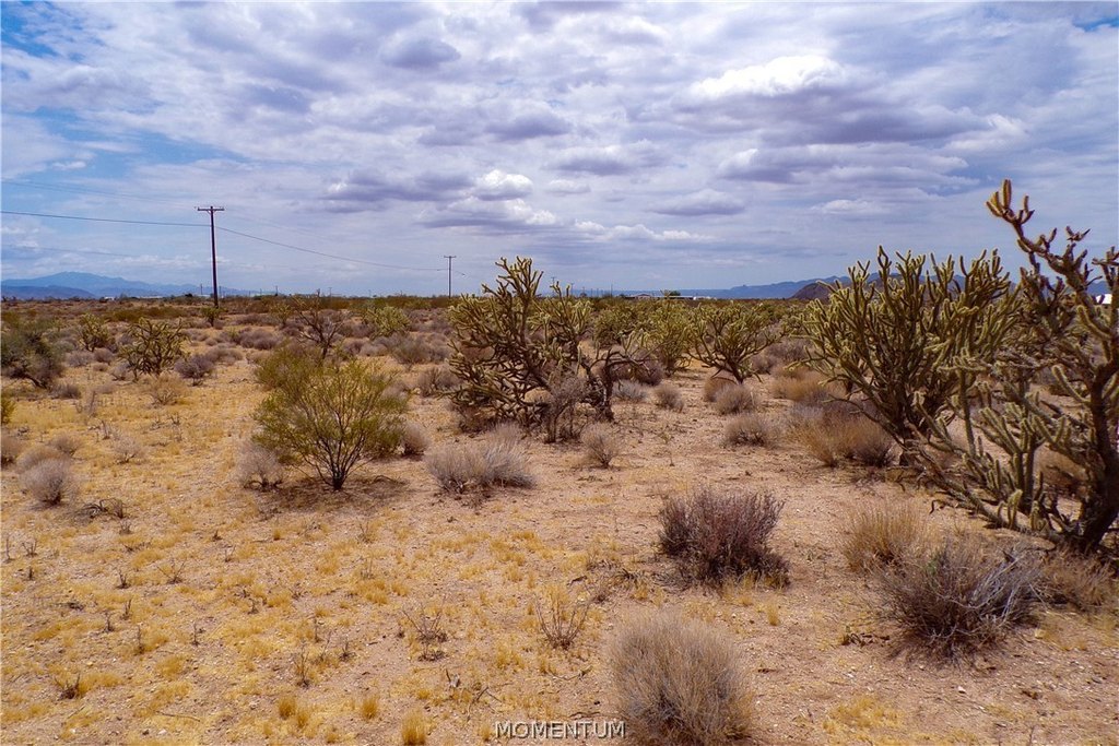 Picture 30