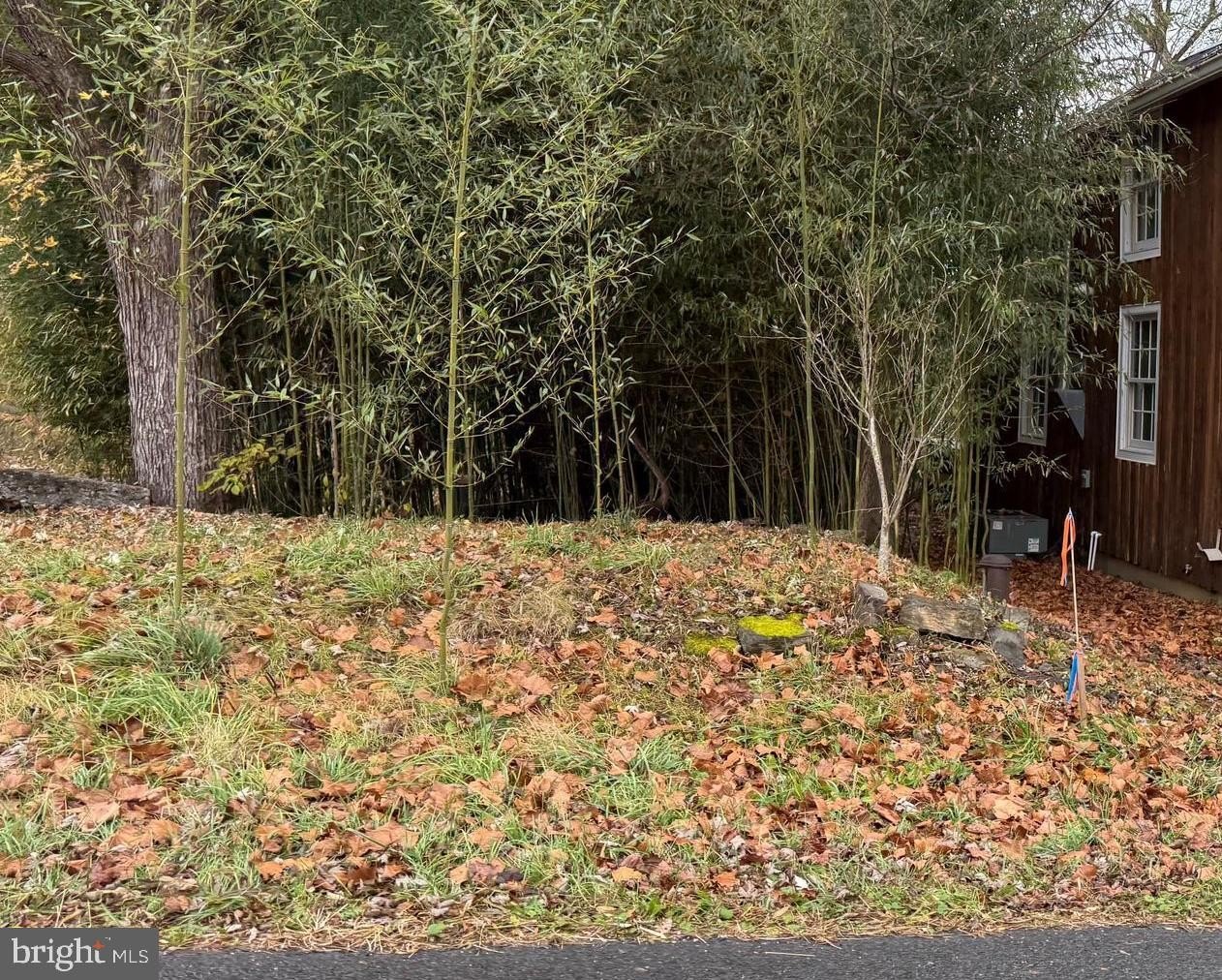 Land in Historic Millwood, VA