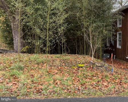 Land in Historic Millwood, VA