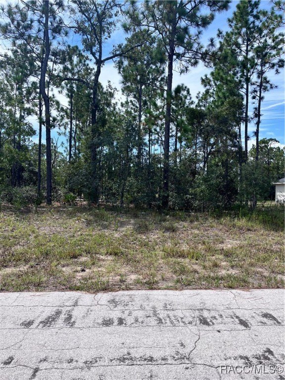 Citrus Springs Residential Land Parcel