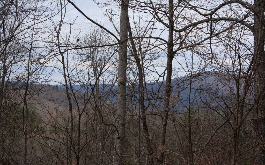Picture 17