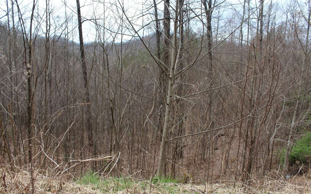 Picture 48