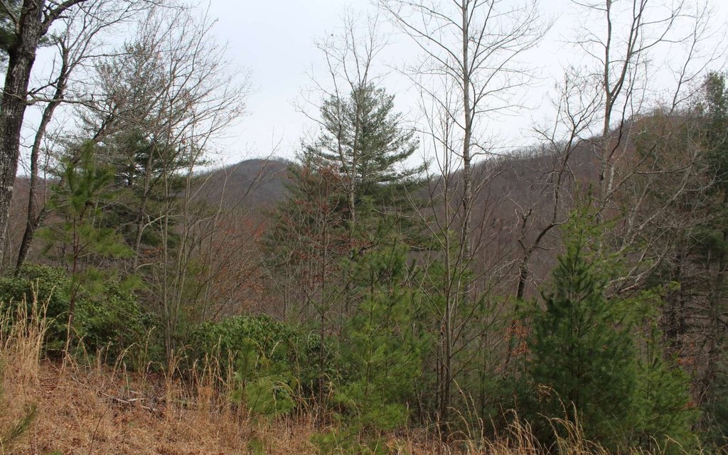 Picture 39