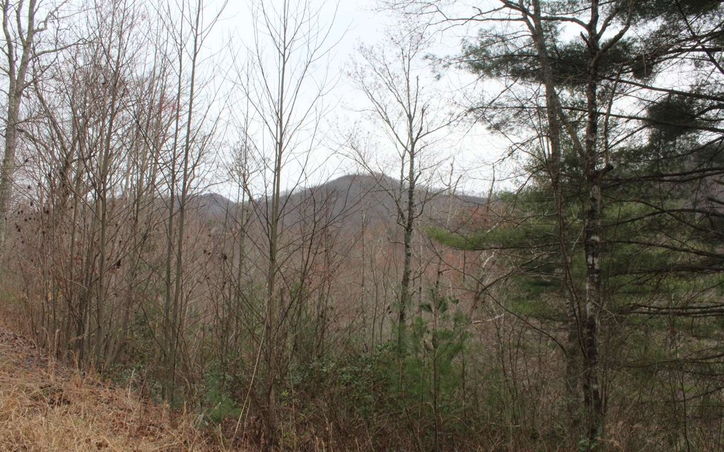 Picture 38