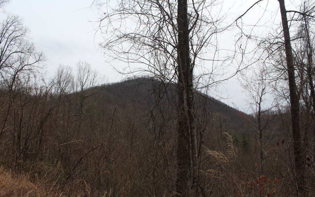 Picture 41