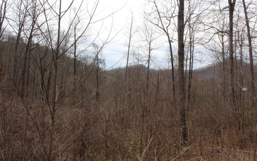 Picture 14