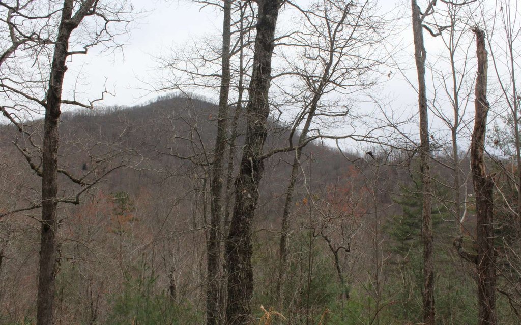 Picture 32
