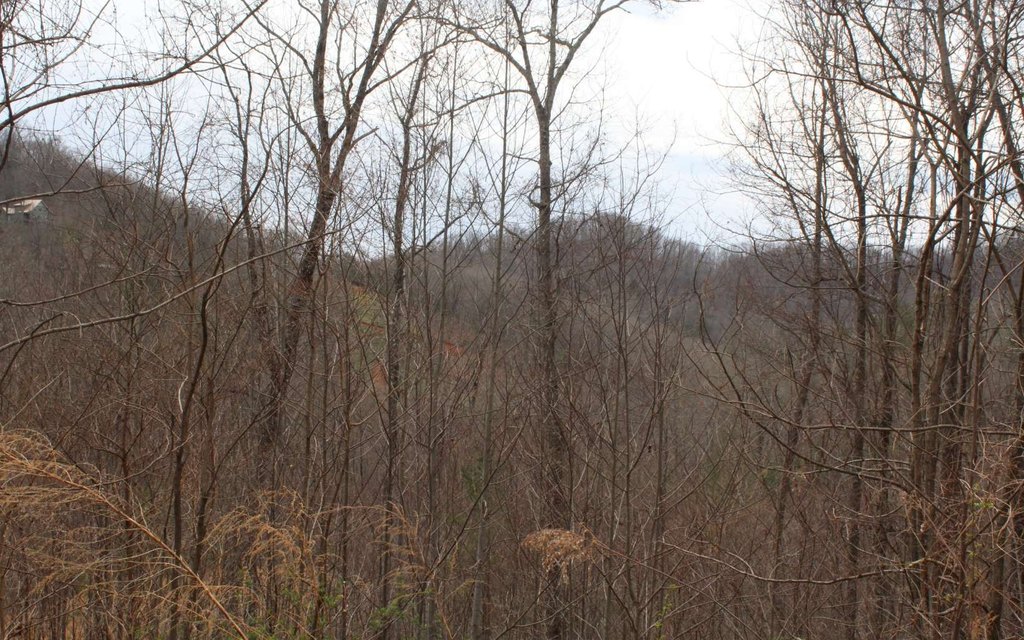 Picture 45