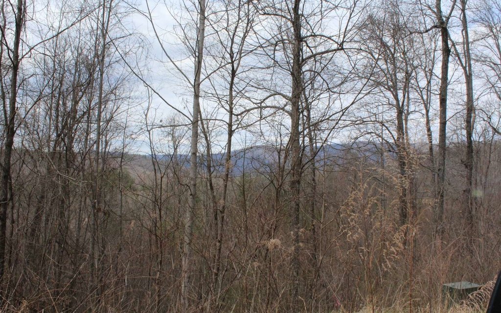 Picture 18