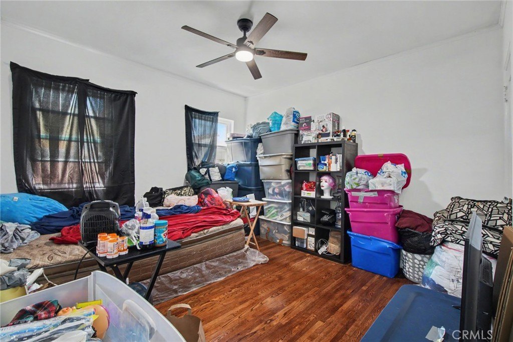 Picture 23