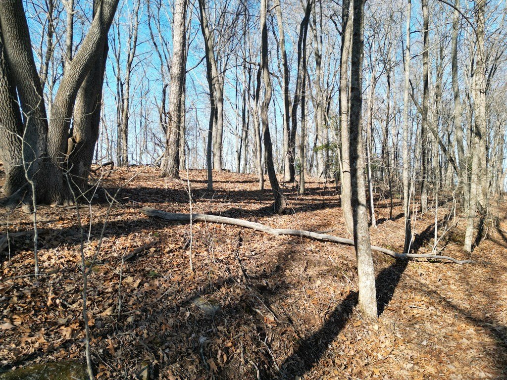 Picture 7