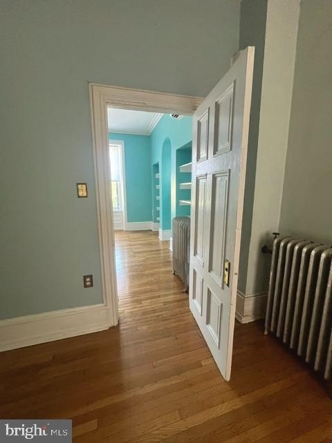 Picture 23