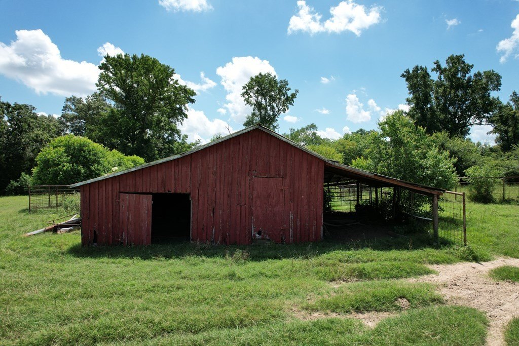 Picture 6