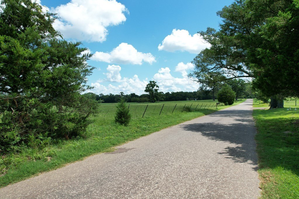 Picture 35