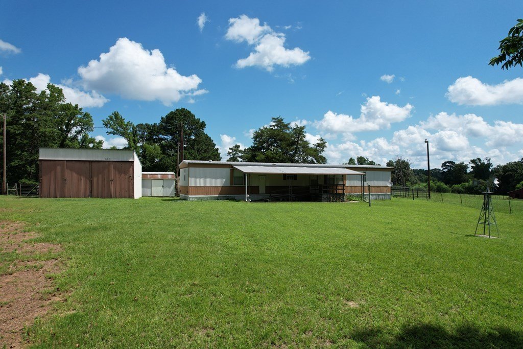 Picture 19