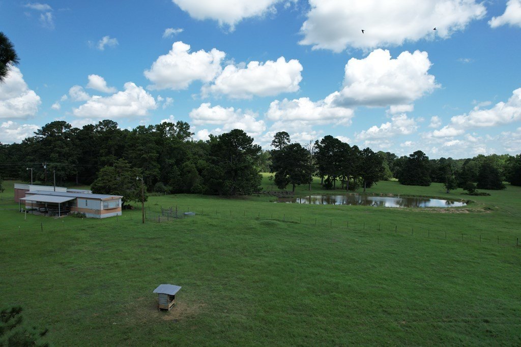 Picture 17