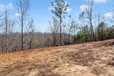 Wooded Residential Development Lot