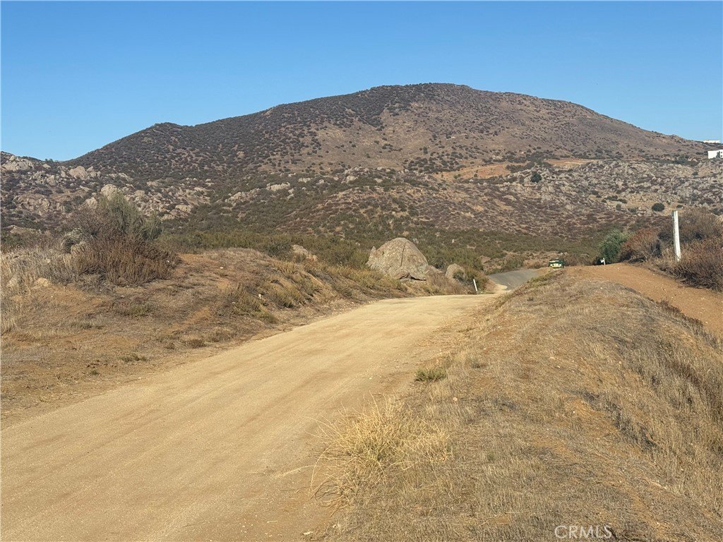 Picture 3