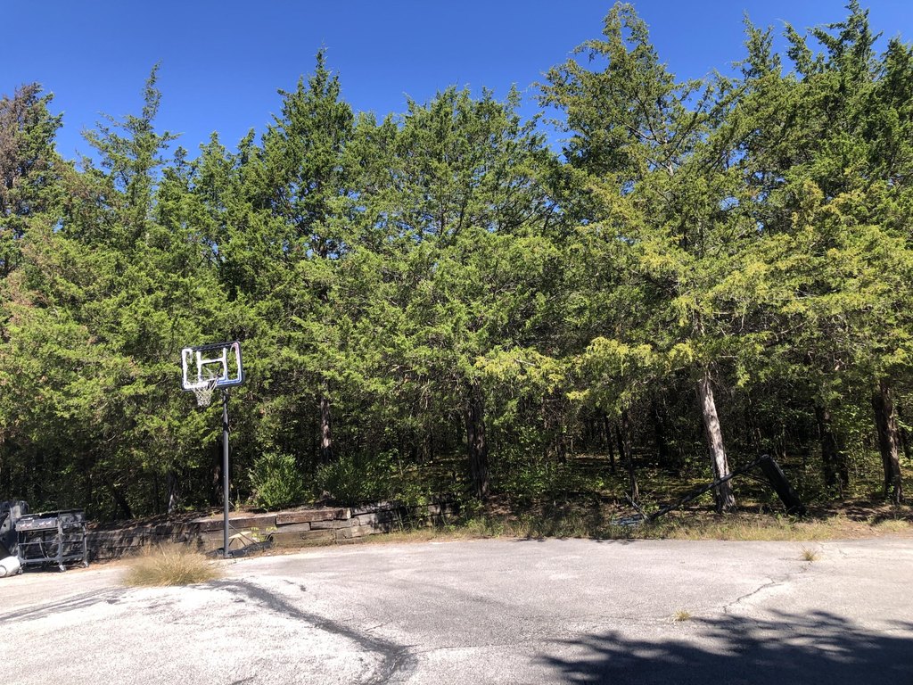 Picture 16