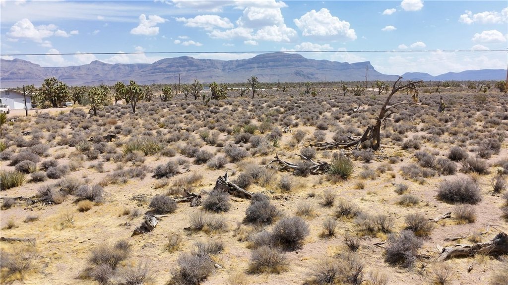Picture 27