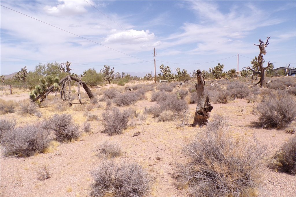 Picture 8