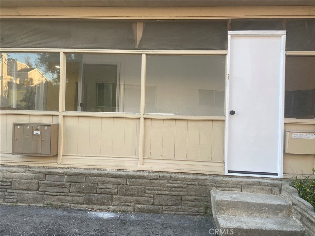 Picture 5