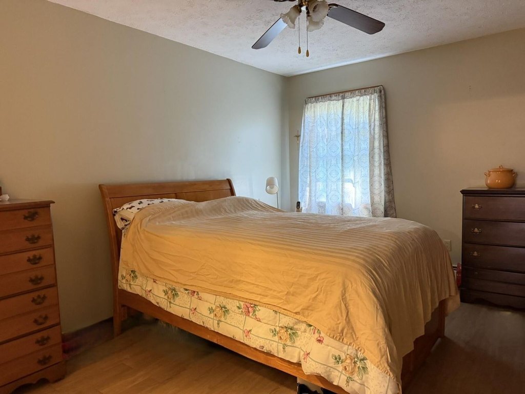 Picture 20