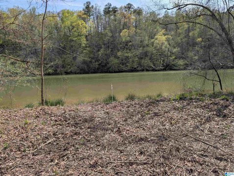 Deeded Waterfront Residential Land