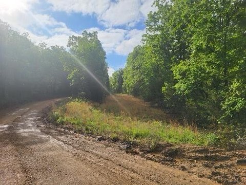Gainesville Land with Road Frontage